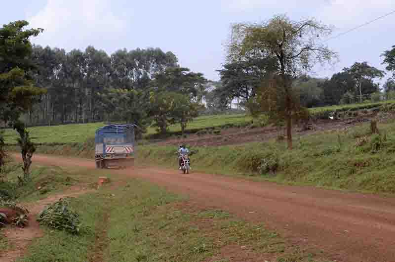 08 - Uganda - carretera de tierra